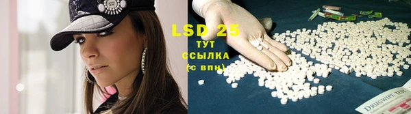 PSILOCYBIN Красноперекопск
