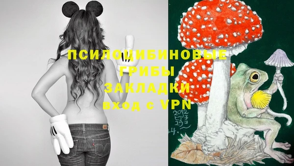 эйфоретик Корсаков