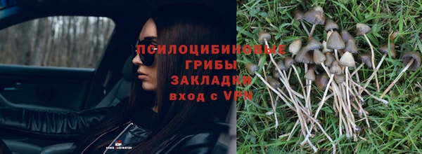 PSILOCYBIN Красноперекопск