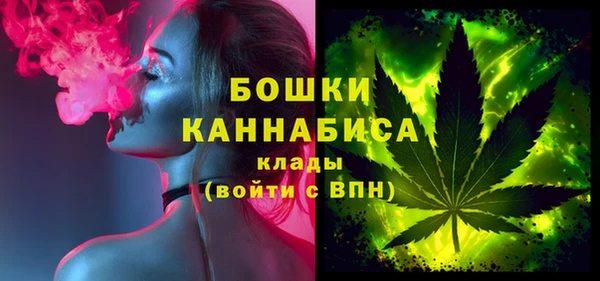 шишки Александровское