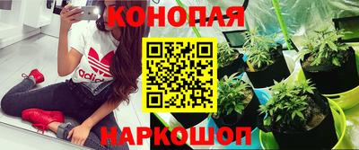 ешки Аргун