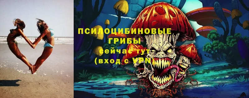 Псилоцибиновые грибы Cubensis  МЕГА вход  Ессентуки 