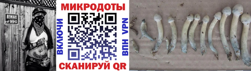 наркота Ессентуки ОМГ ОМГ вход Псилоцибиновые грибы мухоморы