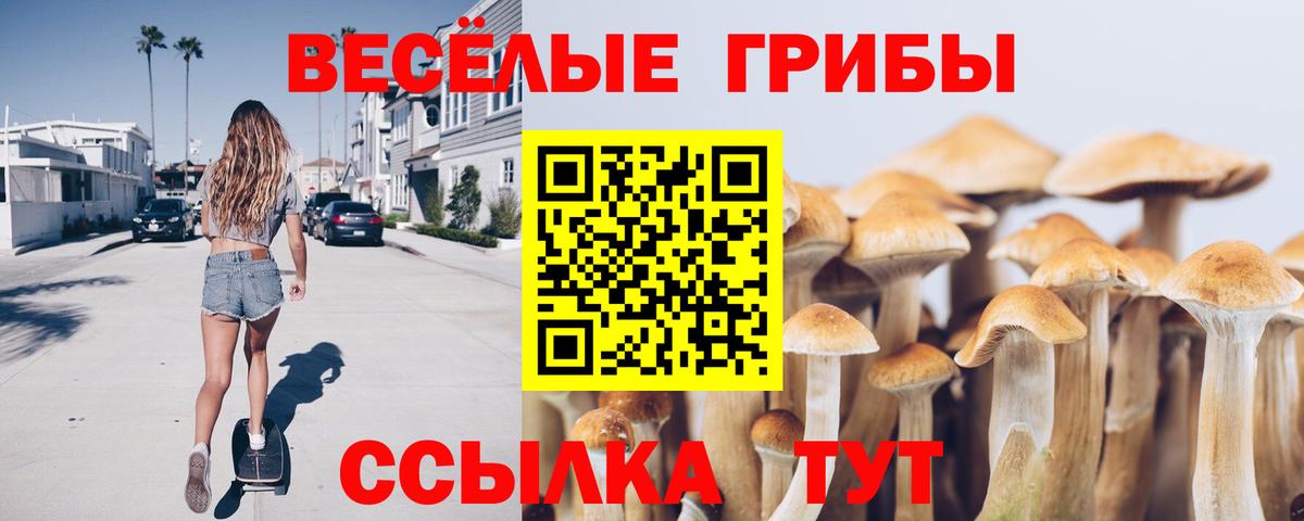 ТГК Ессентуки