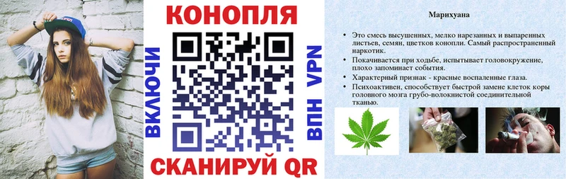 магазин продажи наркотиков  MEGA ссылки  Бошки Шишки план  Ессентуки 